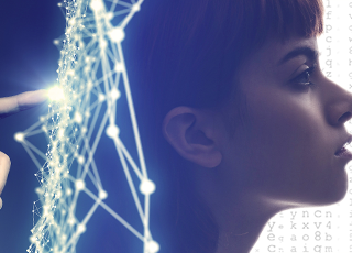 How do companies categorize players and is it dangerous?