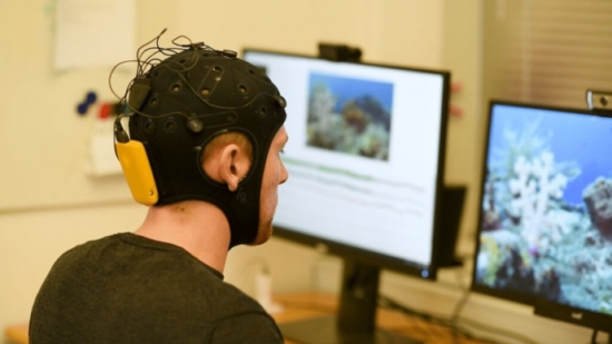 EEG measurement in action: study participant wearing an Enobio EEG cap