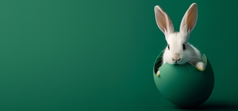 Designing Perfect Easter Eggs in Video Games: Tips and Tricks