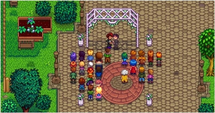 Wedding scene in Stardew Valley showcasing community life, relationships, and player interaction with villagers.