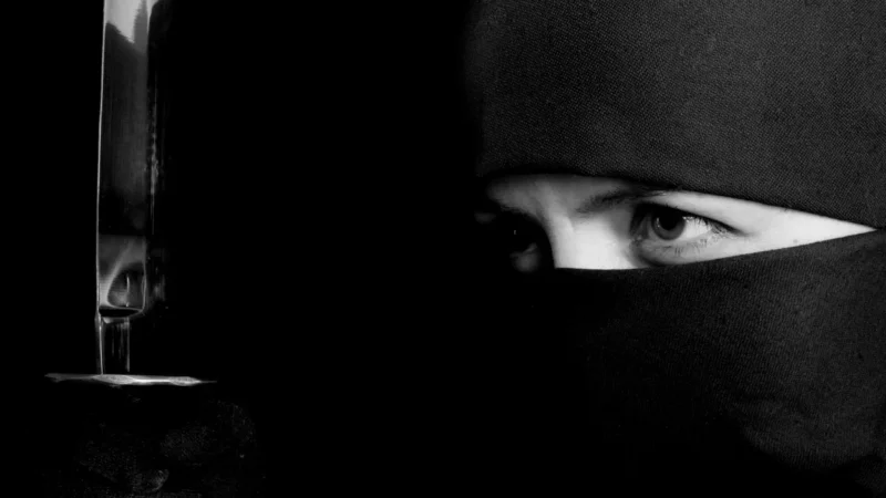 The Psychology of Stealth Players: Trends, Behavior, and Motivation of Silent Operators